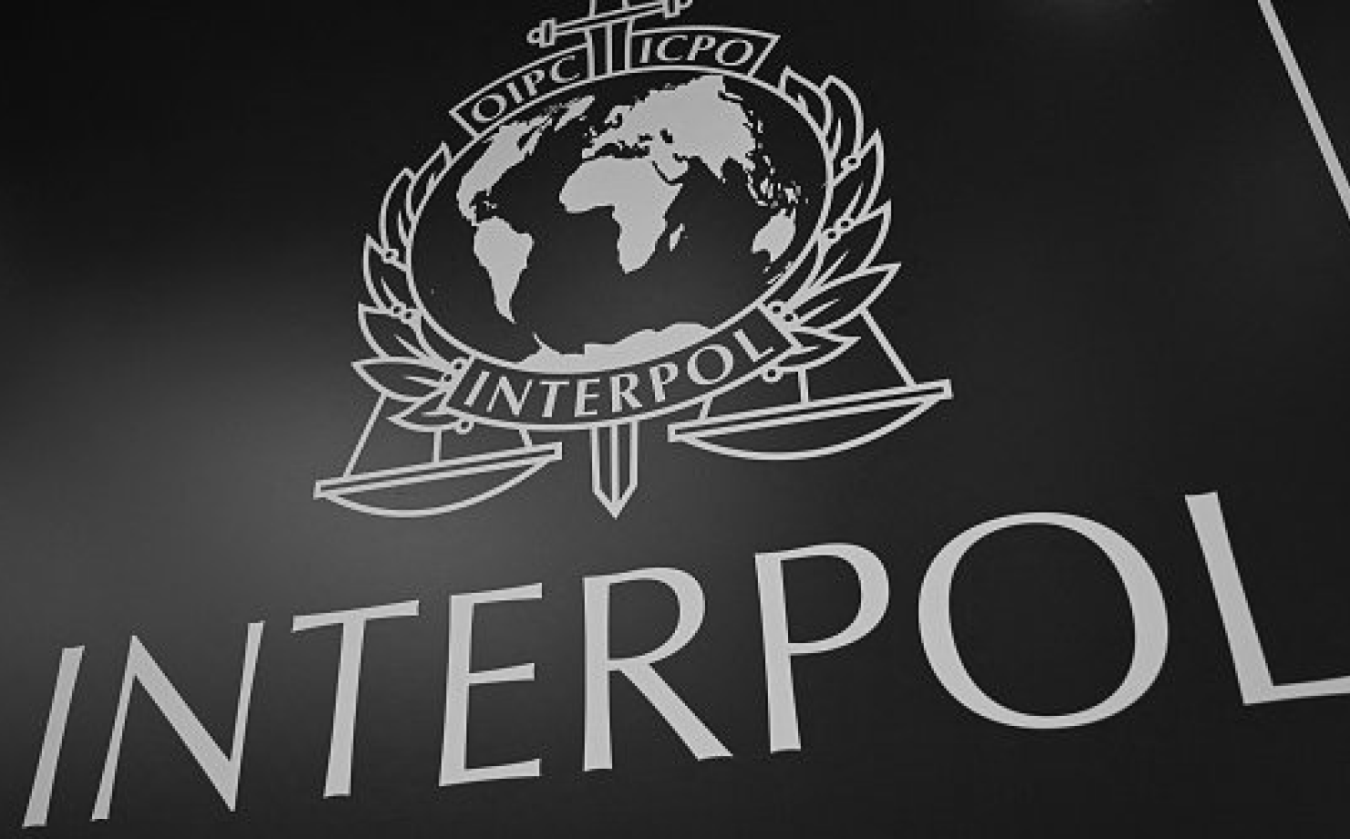 Какими преступлениями занимается Интерпол? Ответ адвоката